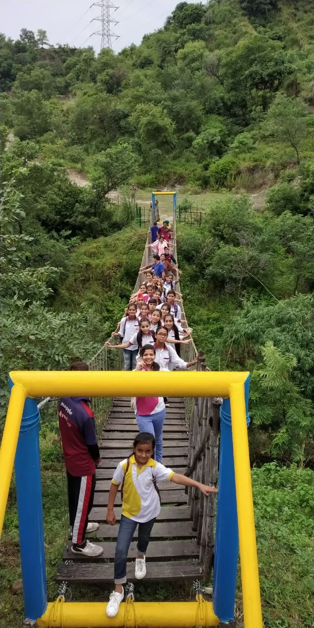 Rope Suspension Bridge